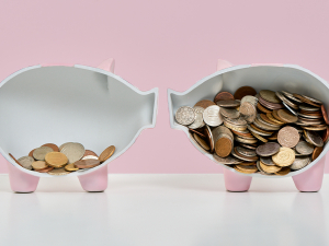 Political Inequality